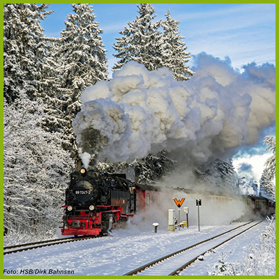 Mit der Harzbahn durch den Winterwald